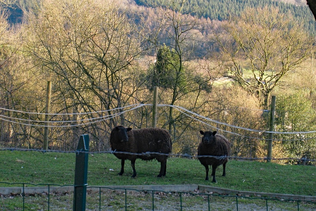 Stavelot (15).JPG